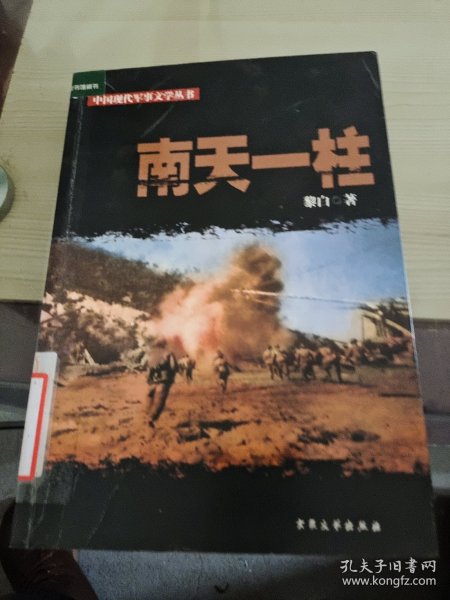 中国现代军事文学丛书·国内革命战争：南天一柱