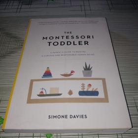 The Montessori Toddler