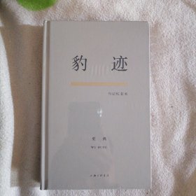 特装刷银 豹迹：与记忆有关