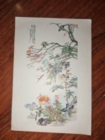 画片 秋丛虫鸟 程璋绘 1956天津美术出版社