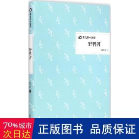 野鸭河 儿童文学 曹文轩  新华正版