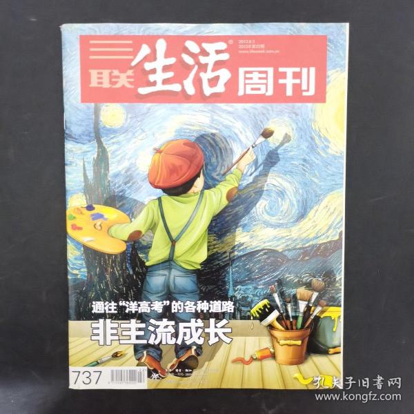 三联生活周刊 2013年 第22期总第737期（非主流成长）