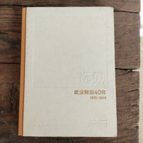 远见  武汉规划40年