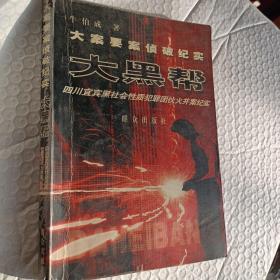 大黑帮——21世纪大案要案侦破纪实系列