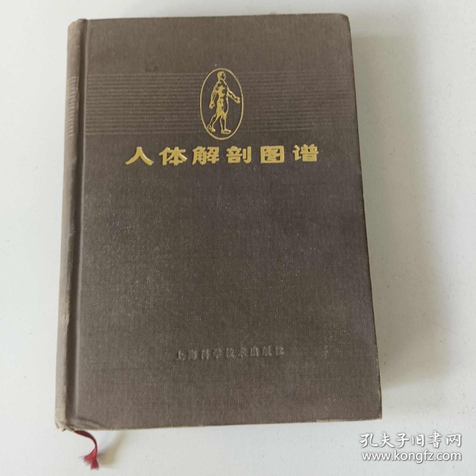 人体解部图谱(S一2书架)