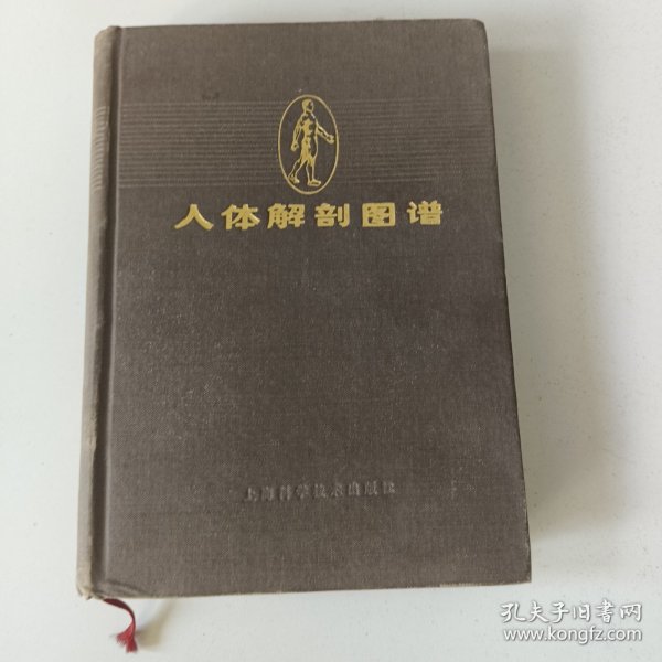 人体解部图谱(S一2书架)