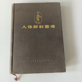 人体解部图谱(S一2书架)