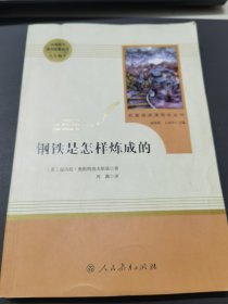 统编语文教材配套阅读 八年级下：钢铁是怎样炼成的/名著阅读课程化丛书