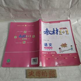 教材1+1 初中语文 八年级8年级上册 人教版部编版统编版 2022年秋同步教材 讲练结合