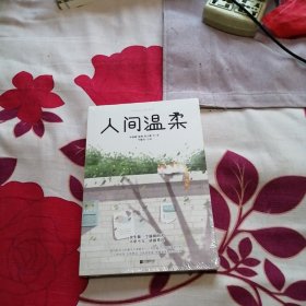 人间温柔：余生做一个温暖的人（毕淑敏、贾平凹、苏童推荐；别放弃，生活点滴温暖，都值得我们前进！）