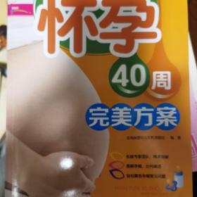 怀孕40周完美方案（超值彩版）芝宝贝书系124