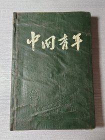 中国青年日记本