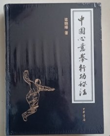 中國心意拳行功秘法（硬精裝）
