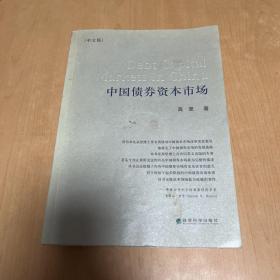 中国债券资本市场（中文版）