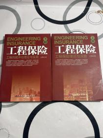 工程保险（上下）：工程风险评估理论与实践