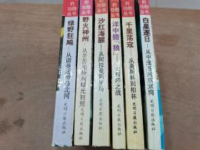 不朽的功勋丛书：沙红海腥，野火神州，绿野狂飙，白星逐日，千里荡寇，海中猎狼，全6本合售
