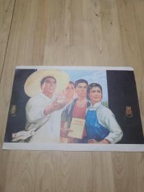 毛泽东同志论教育工作 宣传画16开