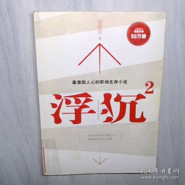 浮沉2最激励人心的职场生存小说