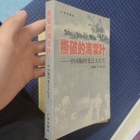 撕破的海棠叶:中国版图变迁大纪实