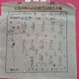 1961年4月29日，定县灵山公社兽医院，老处方。（4-1，生日票据，医疗医院类）