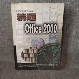 精通Office 2000