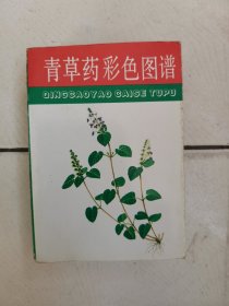 青草药彩色图谱