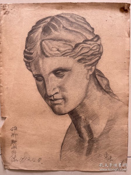 五十年代 1953 老画 素描维纳斯