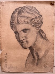 五十年代 1953 老画 素描维纳斯