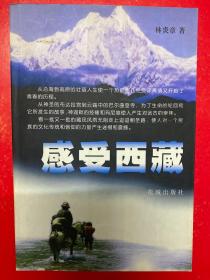 感受西藏——一個(gè)援藏干部的自述