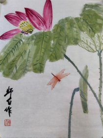 娄师白花卉草虫小品一幅，34/45厘