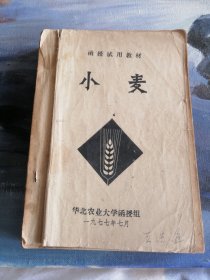 小麦函授试用教才