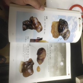 嫩江水冲玛瑙鉴赏图录