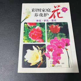 彩图家庭养花护花