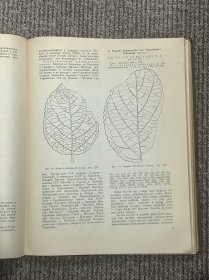 俄文经典 古植物学 第一分册