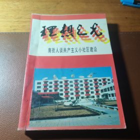 理想之光——南街人谈共产主义小社区建设