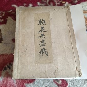 N梅花无尽藏
