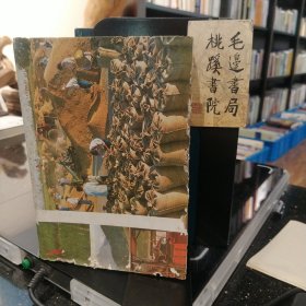 丁玲短篇小说选集