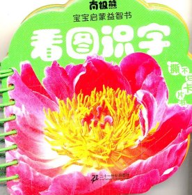 看图识字 南极熊宝宝启蒙益智书