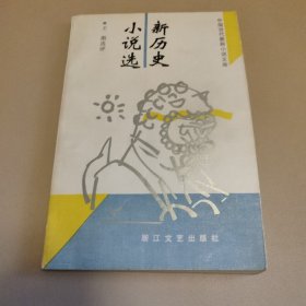 新历史小说选