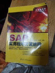 SAP实用程序开发进阶