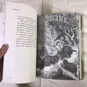 自然的欢沁：经典文学选集（全彩插图本）精选东西方约100篇自然文学大师佳作，大英图书馆授权约70幅馆藏精美风景绘画插图