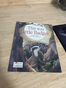 This Way, Little Badger 这边走，小獾