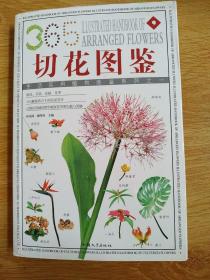 插花植材：365种造型花材的彩色图鉴