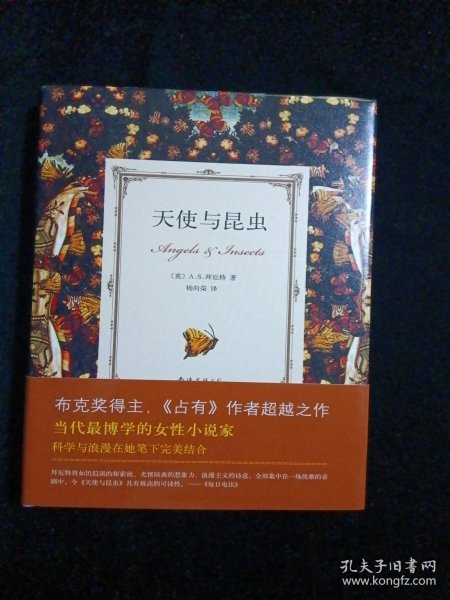 天使与昆虫