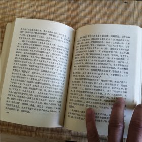 秦淮粉墨图