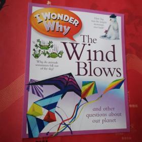 I Wonder Why the Wind Blows＜全新未阅＞