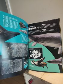 PNSO海洋博物馆鱼龙的秘密