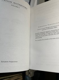 Gramsci 葛兰西《狱中札记 》Antonio Gramsci Prison Notebooks 英文版，三卷本，将近2000页，个人闲置影印资料，书脊自己手写的，内页完好，三册合售