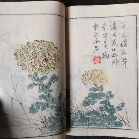 白纸精刻套印，嘉庆年《菊谱》！芥子园焕记