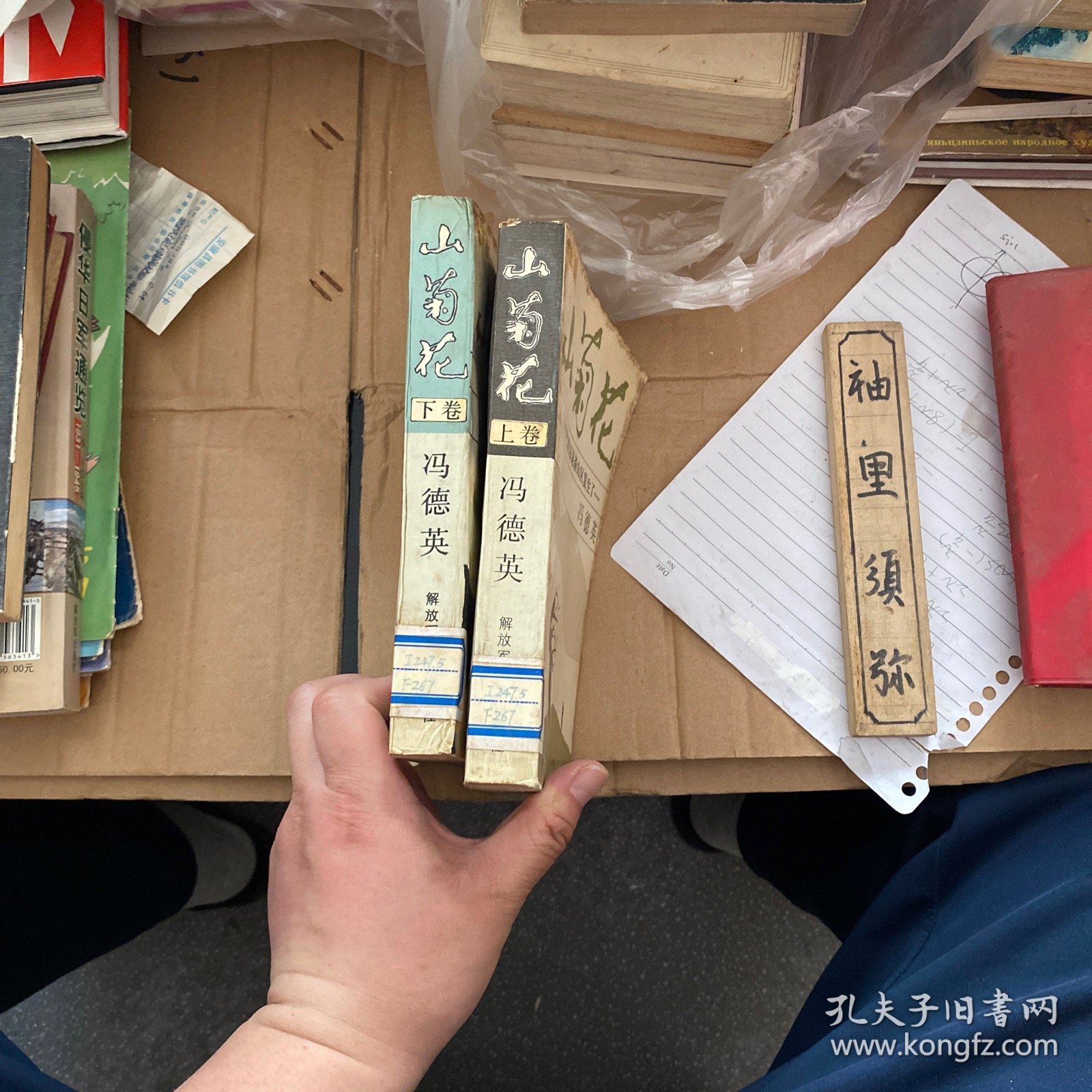 山菊花（上下）